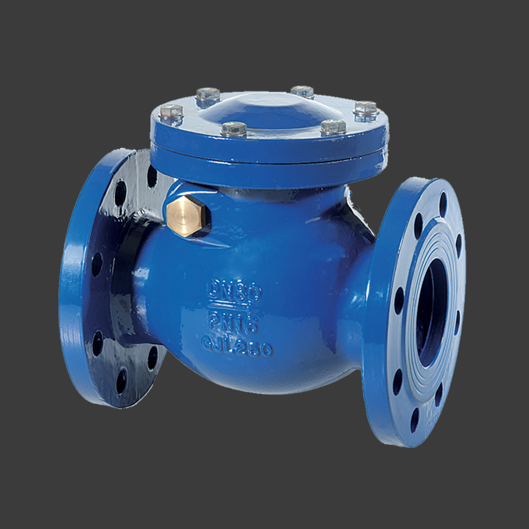 CHECK VALVE